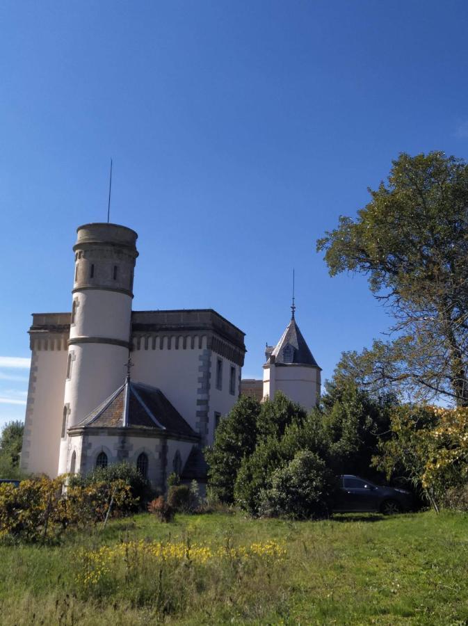 Chateau De Villeneuve - Bed and breakfast Montolieu