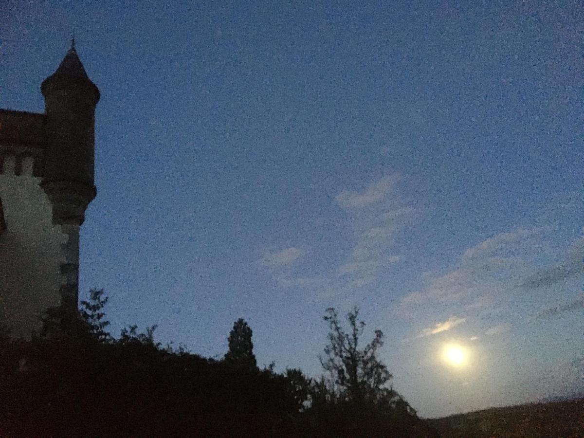 Chateau De Villeneuve - Bed & Breakfast